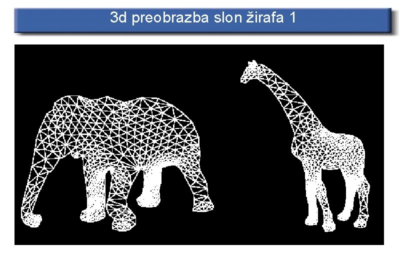 3 d preobrazba slon žirafa 1 