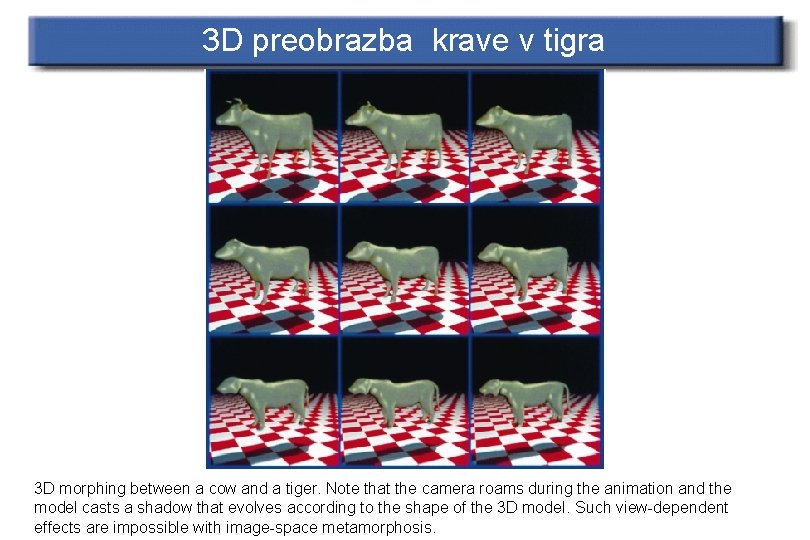 3 D preobrazba krave v tigra 3 D morphing between a cow and a