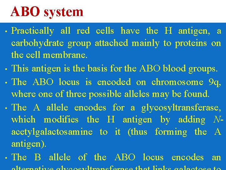 ABO system • • • Practically all red cells have the H antigen, a