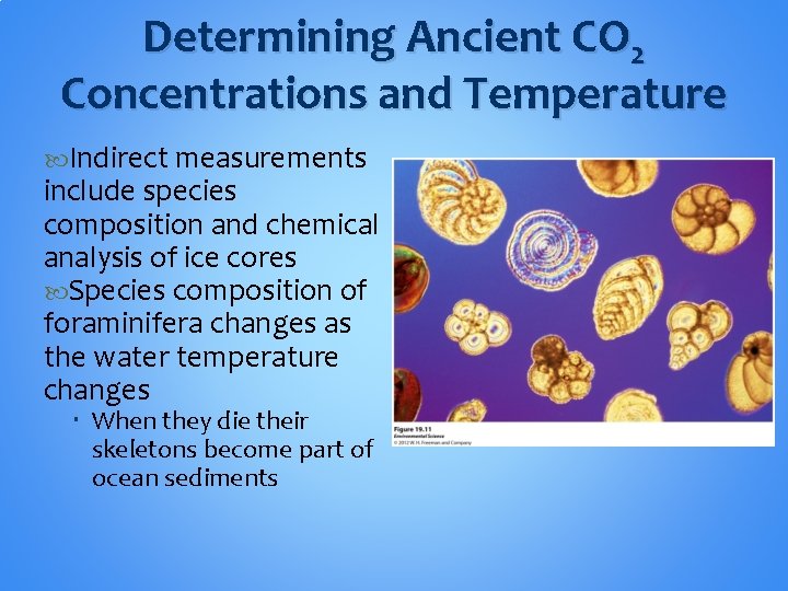 Determining Ancient CO 2 Concentrations and Temperature Indirect measurements include species composition and chemical