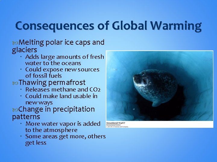 Consequences of Global Warming Melting polar ice caps and glaciers Adds large amounts of