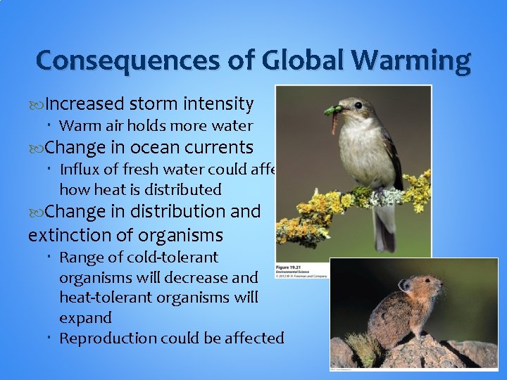 Consequences of Global Warming Increased storm intensity Warm air holds more water Change in