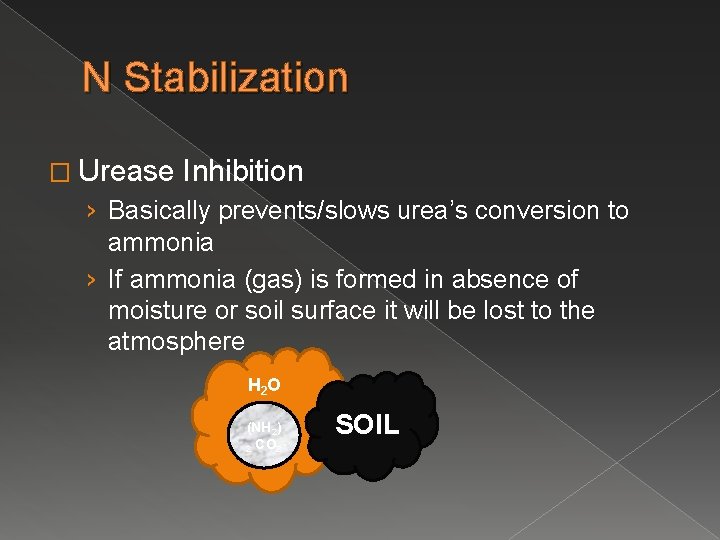 N Stabilization � Urease Inhibition › Basically prevents/slows urea’s conversion to ammonia › If