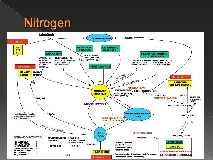 Nitrogen 