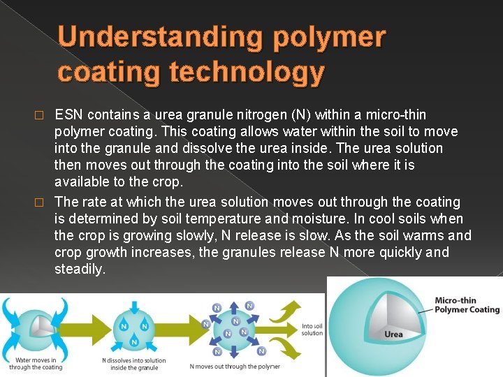 Understanding polymer coating technology ESN contains a urea granule nitrogen (N) within a micro-thin
