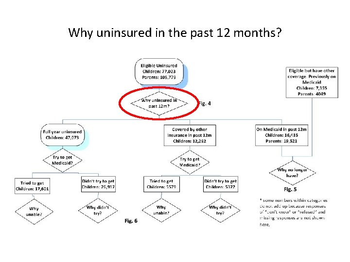 Why uninsured in the past 12 months? 