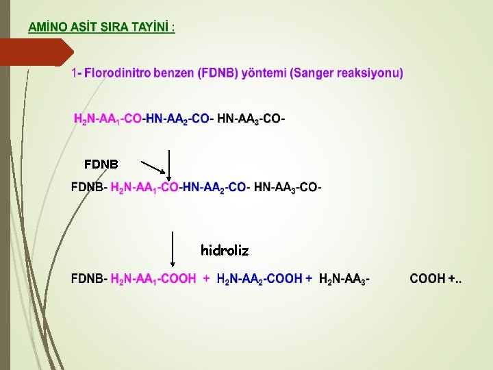 FDNB hidroliz 