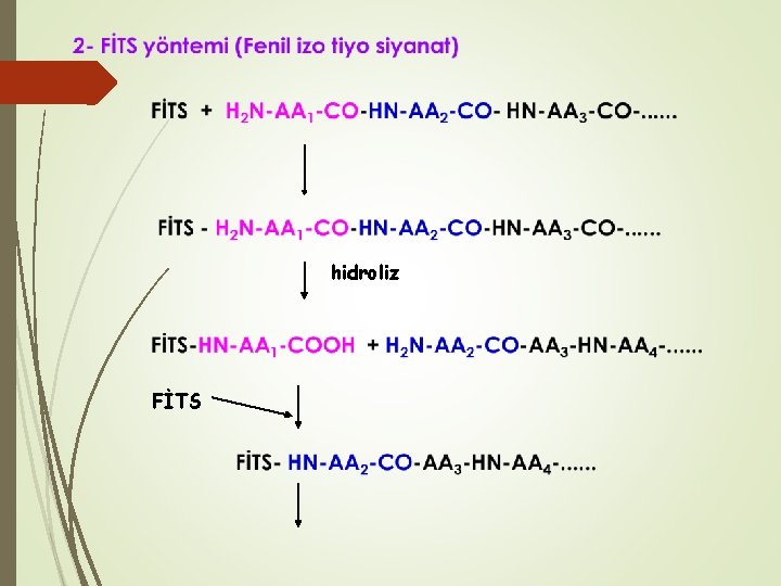 hidroliz FİTS 