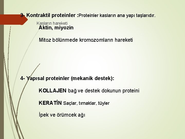 3 - Kontraktil proteinler : Proteinler kasların ana yapı taşlarıdır. Kasların hareketi Aktin, miyozin