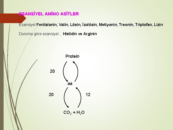 ESANSİYEL AMİNO ASİTLER Esansiyel: Fenilalanin, Valin, Lösin, İzolösin, Metiyonin, Treonin, Triptofan, Lizin Duruma göre