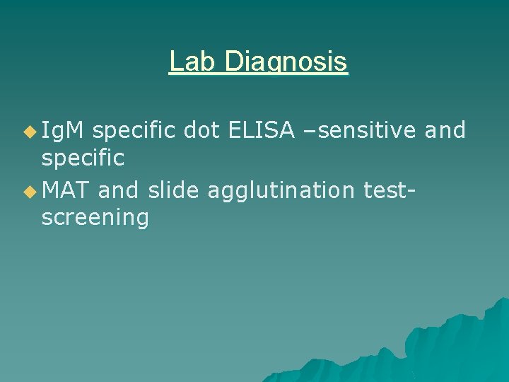 Lab Diagnosis u Ig. M specific dot ELISA –sensitive and specific u MAT and
