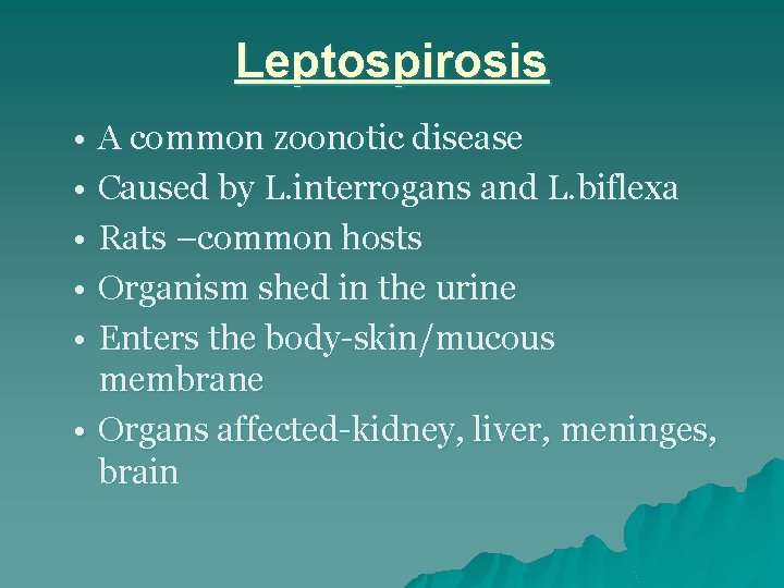 Leptospirosis • A common zoonotic disease • Caused by L. interrogans and L. biflexa