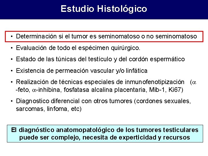 Estudio Histológico • Determinación si el tumor es seminomatoso o no seminomatoso • Evaluación