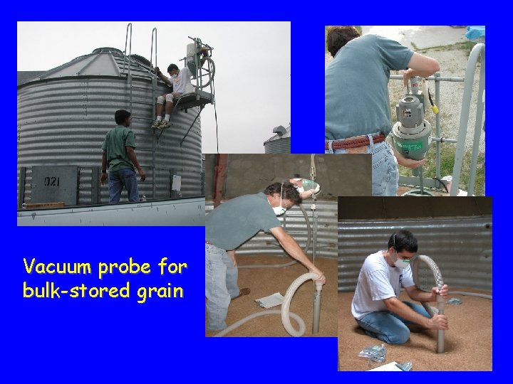 Vacuum probe for bulk-stored grain 