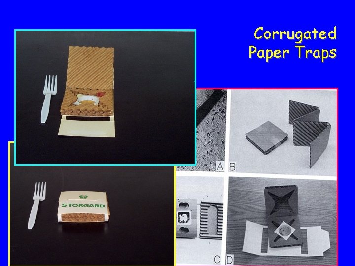 Corrugated Paper Traps 