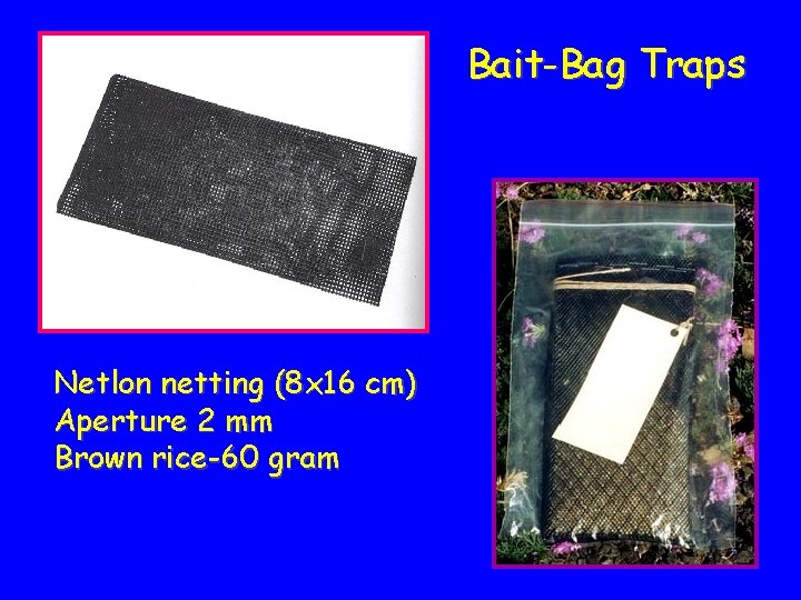 Bait-Bag Traps Netlon netting (8 x 16 cm) Aperture 2 mm Brown rice-60 gram