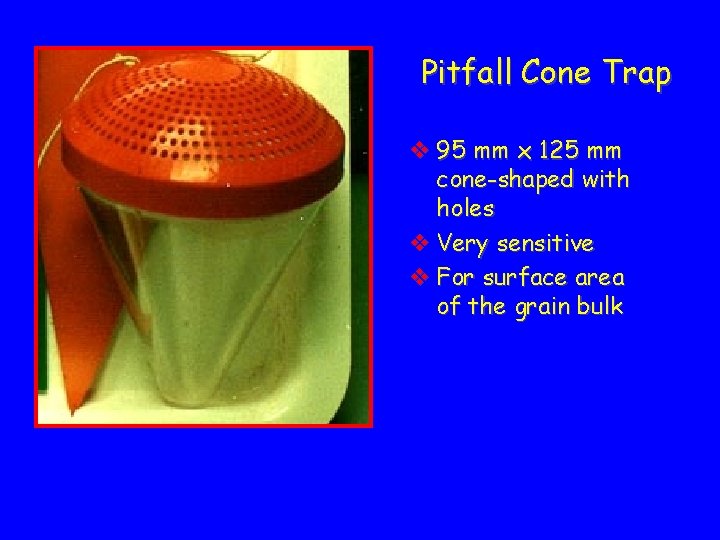 Pitfall Cone Trap v 95 mm x 125 mm cone-shaped with holes v Very