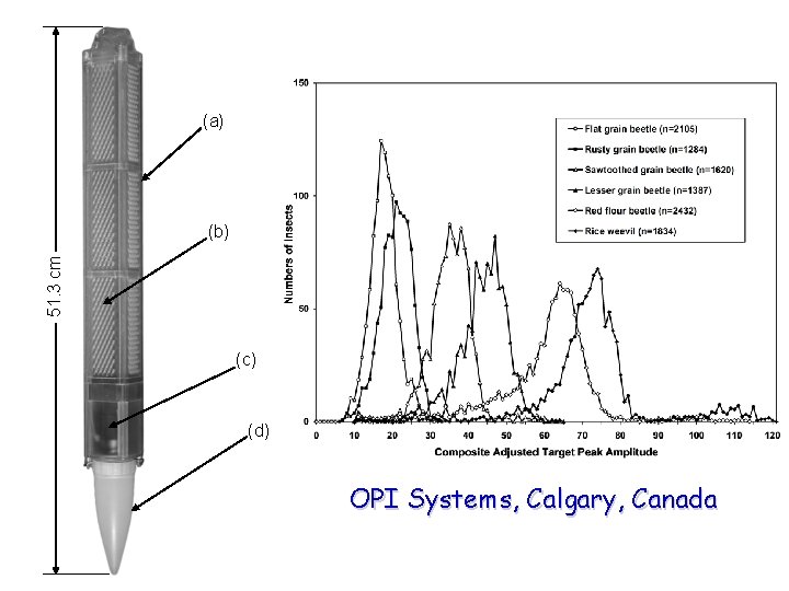 (a) 51. 3 cm (b) (c) (d) OPI Systems, Calgary, Canada 