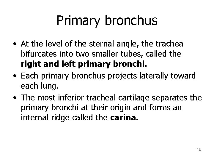 Primary bronchus • At the level of the sternal angle, the trachea bifurcates into