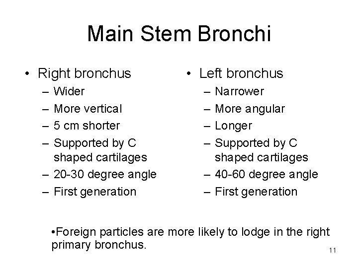 Main Stem Bronchi • Right bronchus – – Wider More vertical 5 cm shorter