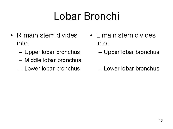 Lobar Bronchi • R main stem divides into: – Upper lobar bronchus – Middle