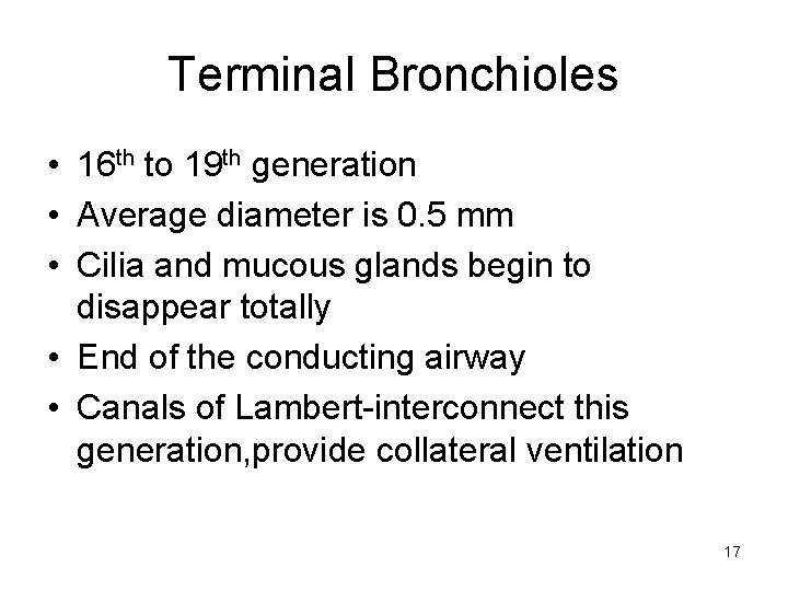 Terminal Bronchioles • 16 th to 19 th generation • Average diameter is 0.