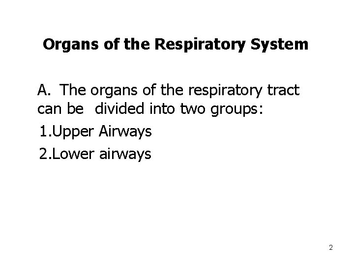 Organs of the Respiratory System A. The organs of the respiratory tract can be