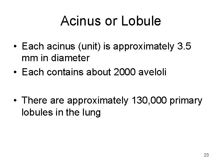 Acinus or Lobule • Each acinus (unit) is approximately 3. 5 mm in diameter