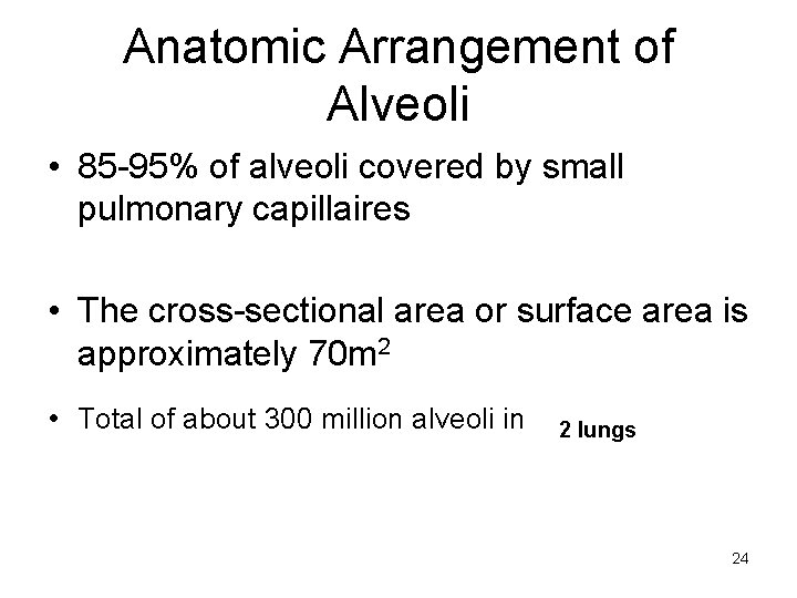 Anatomic Arrangement of Alveoli • 85 -95% of alveoli covered by small pulmonary capillaires