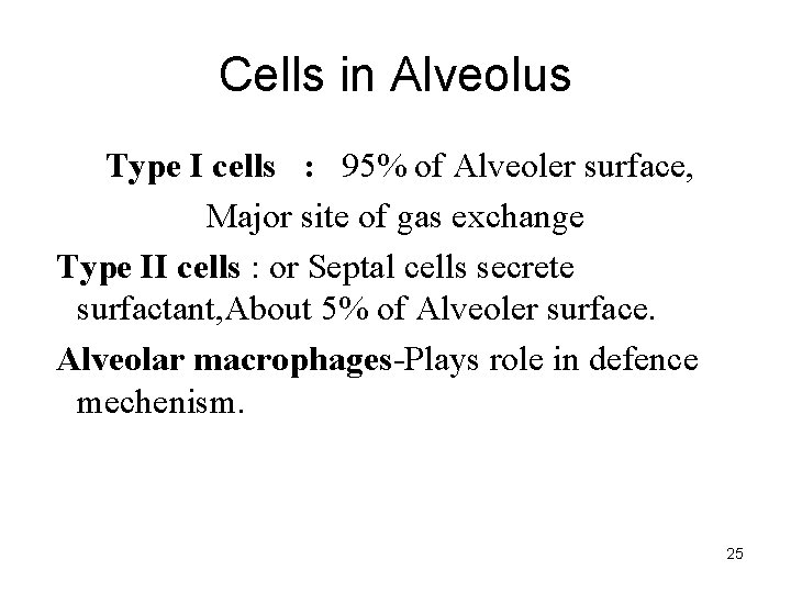 Cells in Alveolus Type I cells : 95% of Alveoler surface, Major site of