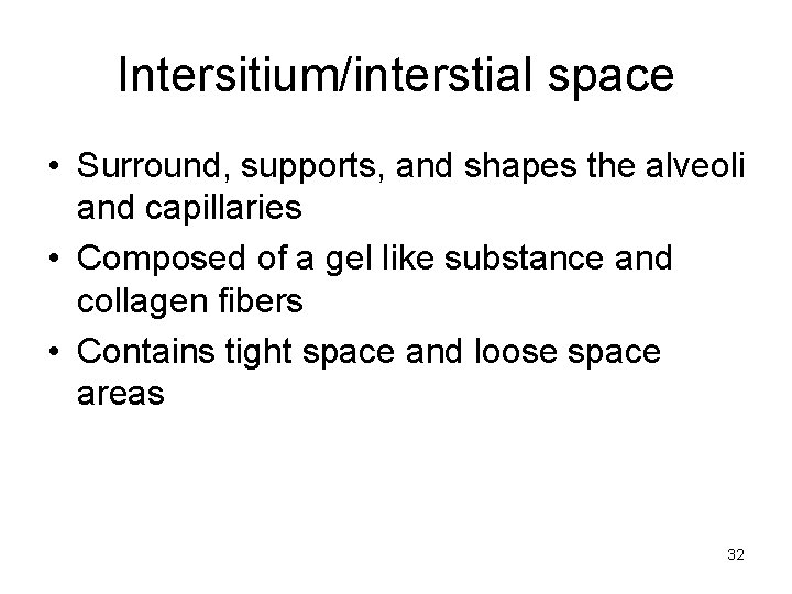 Intersitium/interstial space • Surround, supports, and shapes the alveoli and capillaries • Composed of