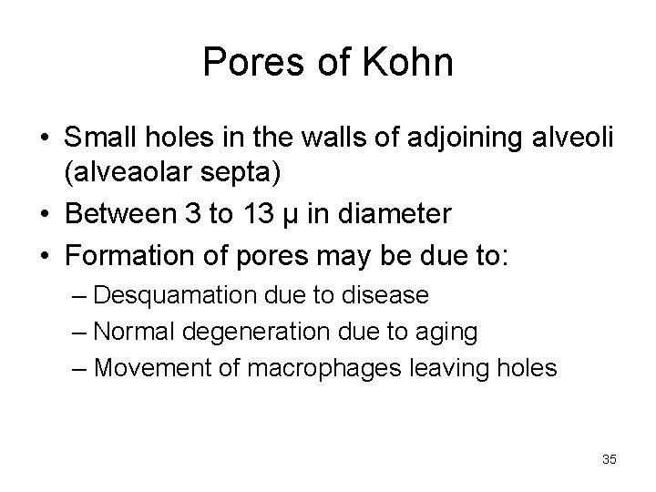 Pores of Kohn • Small holes in the walls of adjoining alveoli (alveaolar septa)