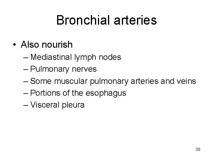 Bronchial arteries • Also nourish – Mediastinal lymph nodes – Pulmonary nerves – Some