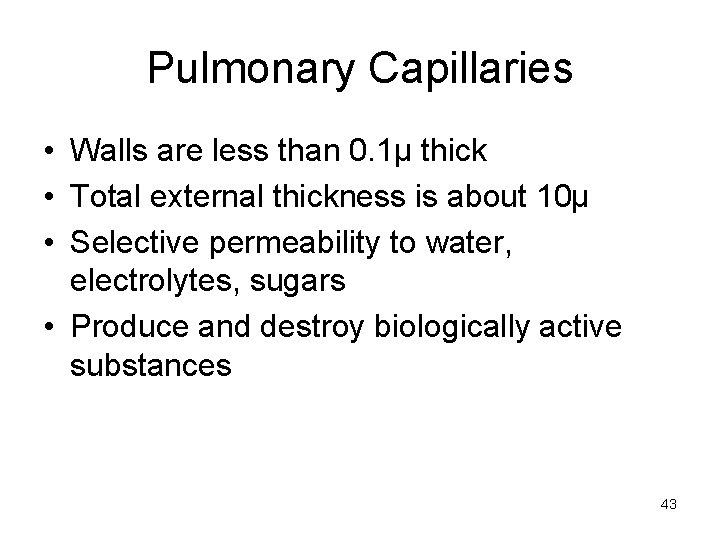 Pulmonary Capillaries • Walls are less than 0. 1µ thick • Total external thickness