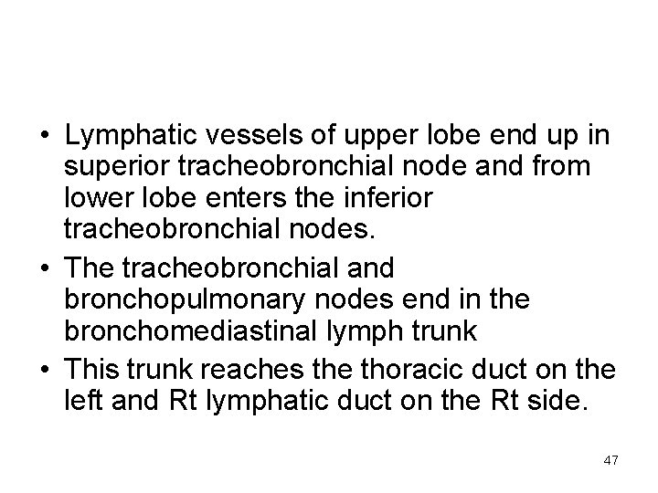  • Lymphatic vessels of upper lobe end up in superior tracheobronchial node and