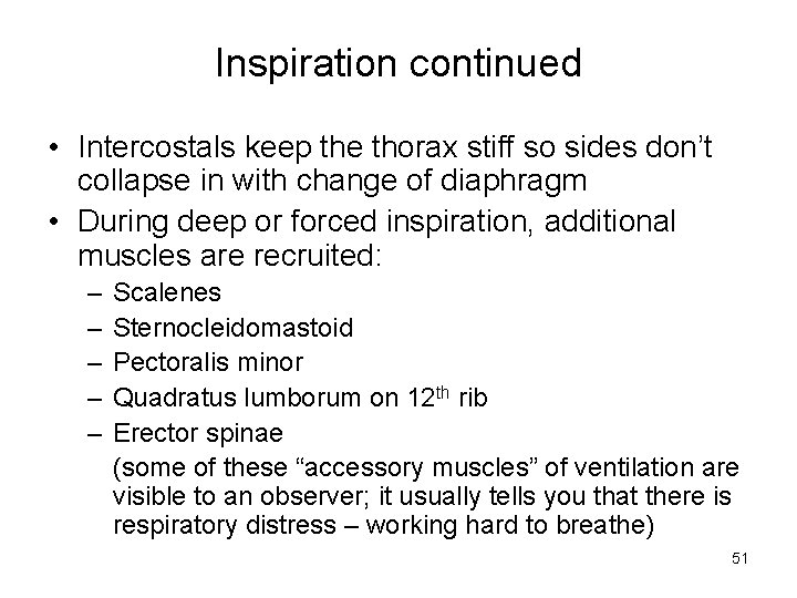 Inspiration continued • Intercostals keep the thorax stiff so sides don’t collapse in with