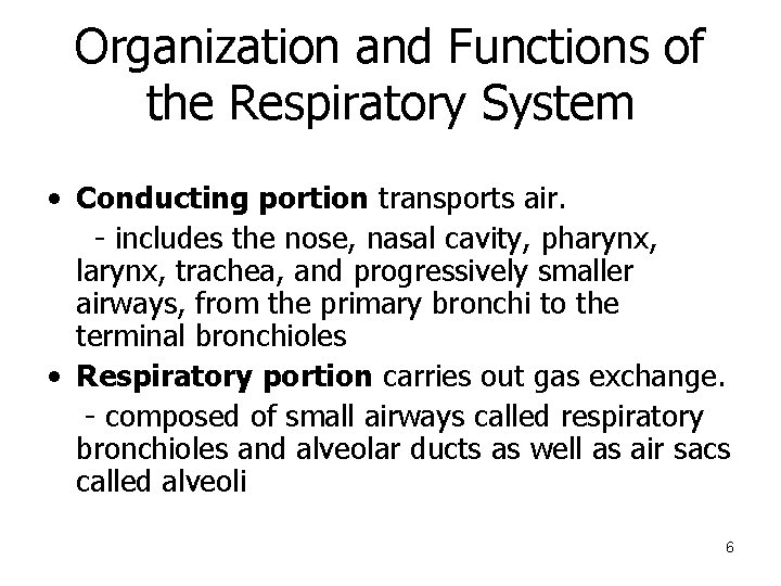 Organization and Functions of the Respiratory System • Conducting portion transports air. - includes