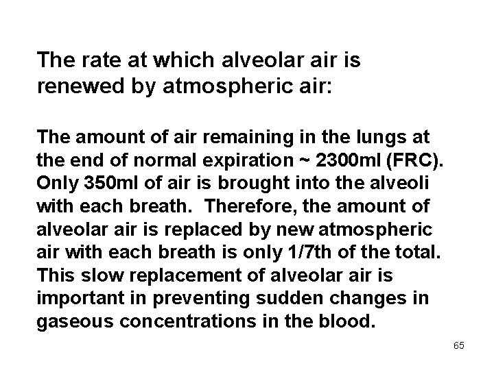 The rate at which alveolar air is renewed by atmospheric air: The amount of