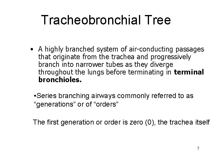 Tracheobronchial Tree • A highly branched system of air-conducting passages that originate from the