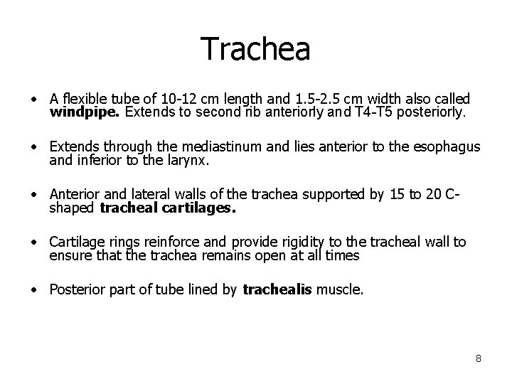 Trachea • A flexible tube of 10 -12 cm length and 1. 5 -2.
