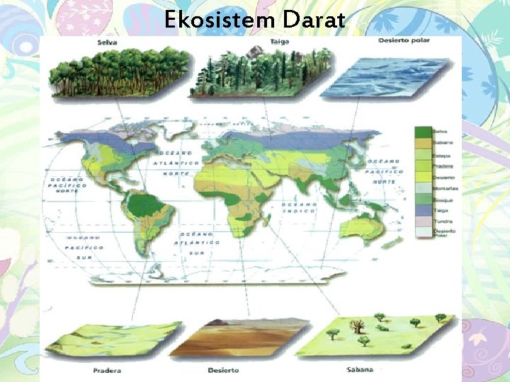 Ekosistem Darat 