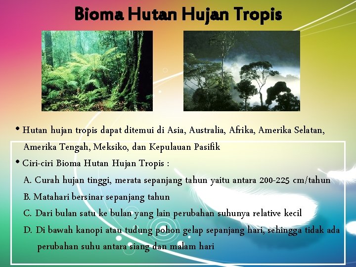 Bioma Hutan Hujan Tropis • Hutan hujan tropis dapat ditemui di Asia, Australia, Afrika,