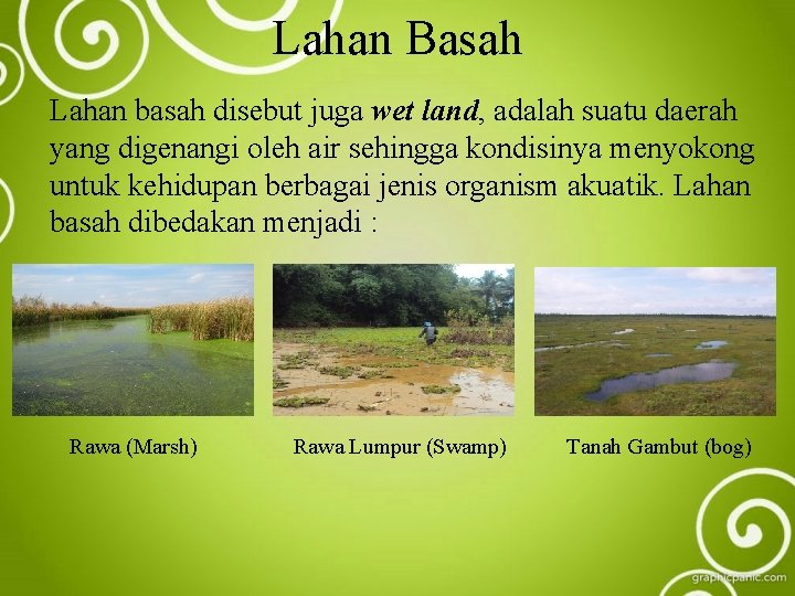 Lahan Basah Lahan basah disebut juga wet land, adalah suatu daerah yang digenangi oleh