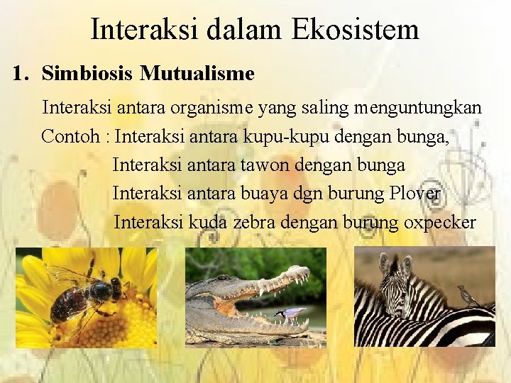 Interaksi dalam Ekosistem 1. Simbiosis Mutualisme Interaksi antara organisme yang saling menguntungkan Contoh :