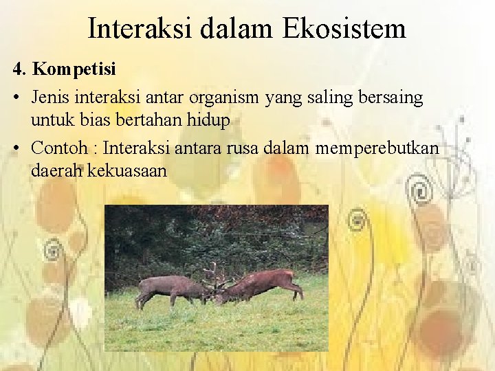 Interaksi dalam Ekosistem 4. Kompetisi • Jenis interaksi antar organism yang saling bersaing untuk