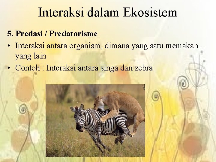 Interaksi dalam Ekosistem 5. Predasi / Predatorisme • Interaksi antara organism, dimana yang satu