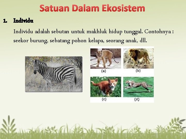 Satuan Dalam Ekosistem 1. Individu adalah sebutan untuk makhluk hidup tunggal. Contohnya : seekor