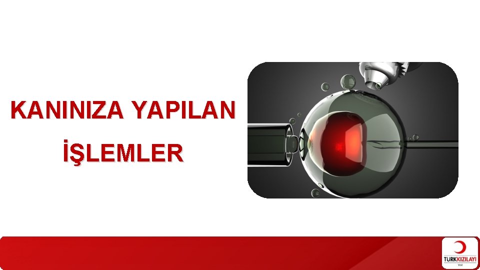 KANINIZA YAPILAN İŞLEMLER 