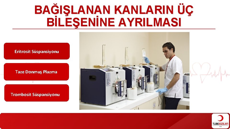 BAĞIŞLANAN KANLARIN ÜÇ BİLEŞENİNE AYRILMASI Eritrosit Süspansiyonu Taze Donmuş Plazma Trombosit Süspansiyonu BAĞIŞLANAN KANLARIN ÜÇ BİLEŞENİNE AYRILMASI Eritrosit Süspansiyonu Taze Donmuş Plazma Trombosit Süspansiyonu