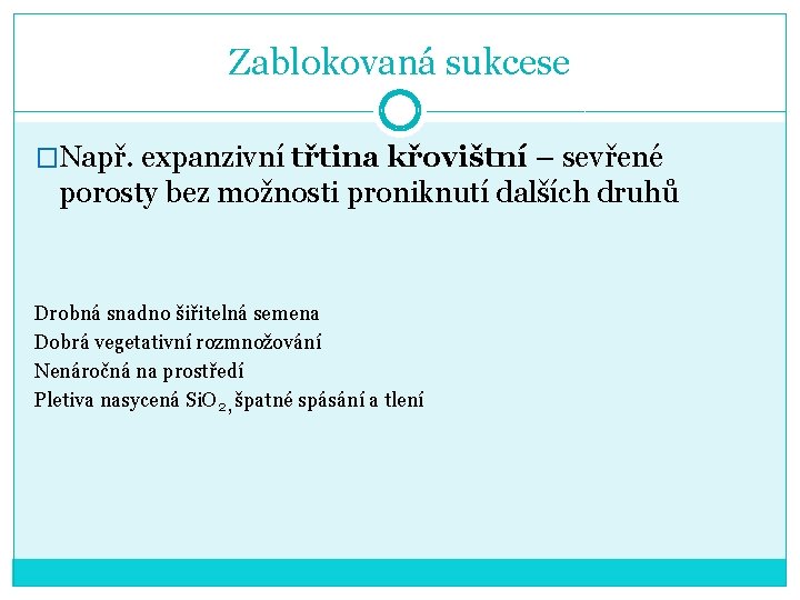 Zablokovaná sukcese �Např. expanzivní třtina křovištní – sevřené porosty bez možnosti proniknutí dalších druhů